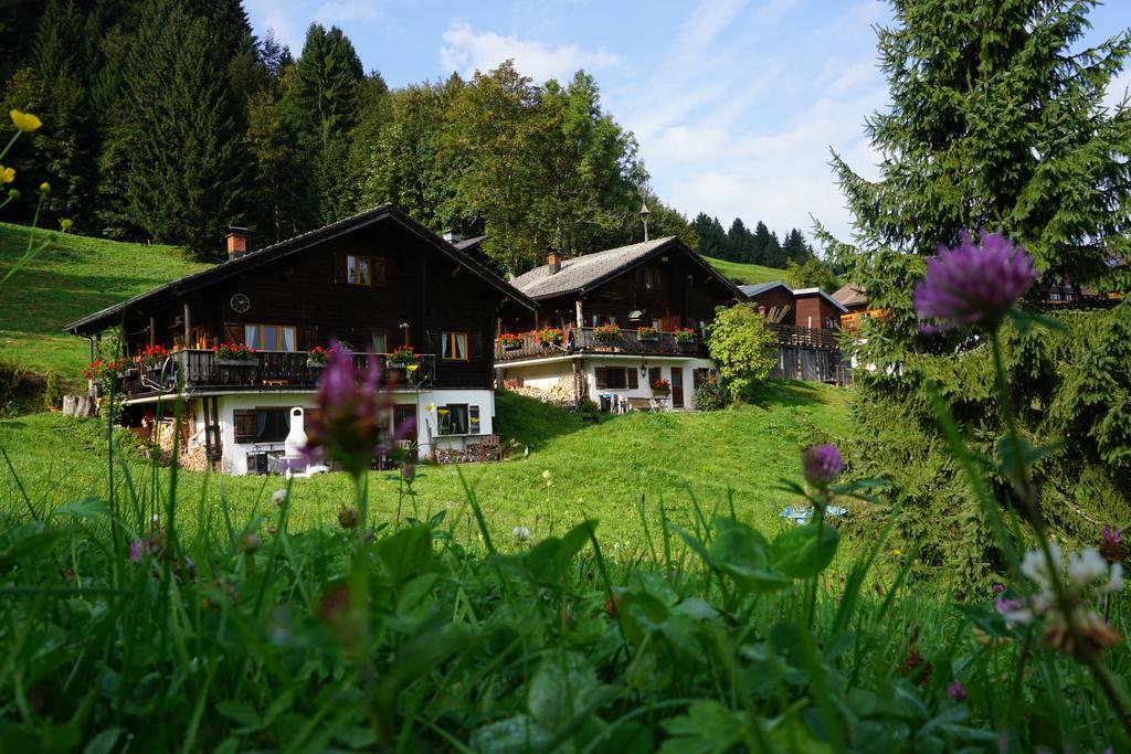 Ferienwohnungen Im Blockhaus Metzler Schwarzenberg im Bregenzerwald Exteriör bild